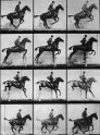 MUYBRIDGE, chronophotographie